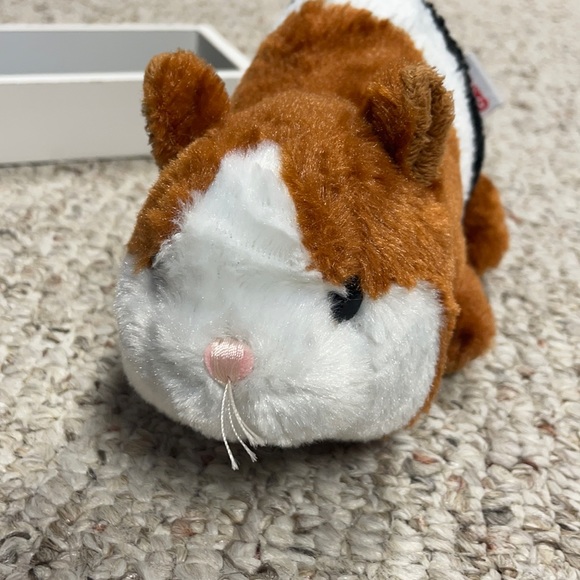 webkinz guinea pig